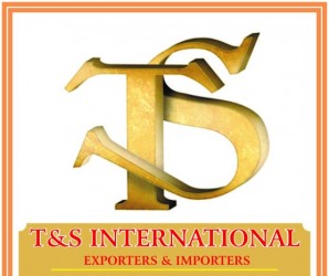 T&S International